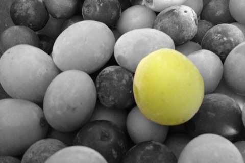 Photo by Matija Barrett